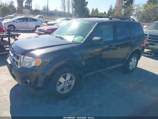 44694297 :رقم المزاد ، 1FMCU0D77BKB65586 vin ، 2011 Ford Escape Xlt مزاد بيع
