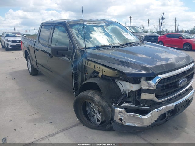 2023 FORD F-150 1FTEW1CP2PKD33236