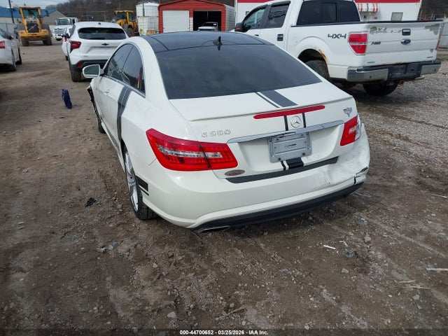 2010 MERCEDES-BENZ E 550 WDDKJ7CB0AF023746 Photo 2
