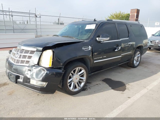 Продаж на аукціоні авто 2010 Cadillac Escalade Esv Platinum Edition, vin: 1GYUKKEF2AR215164, номер лоту: 44702922