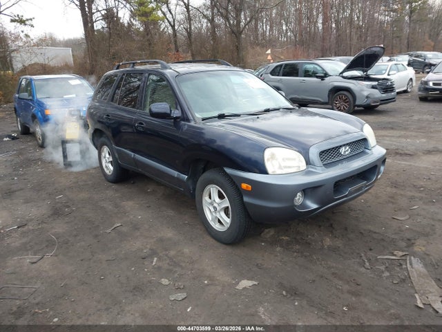 2004 HYUNDAI SANTA FE KM8SC73D74U853870
