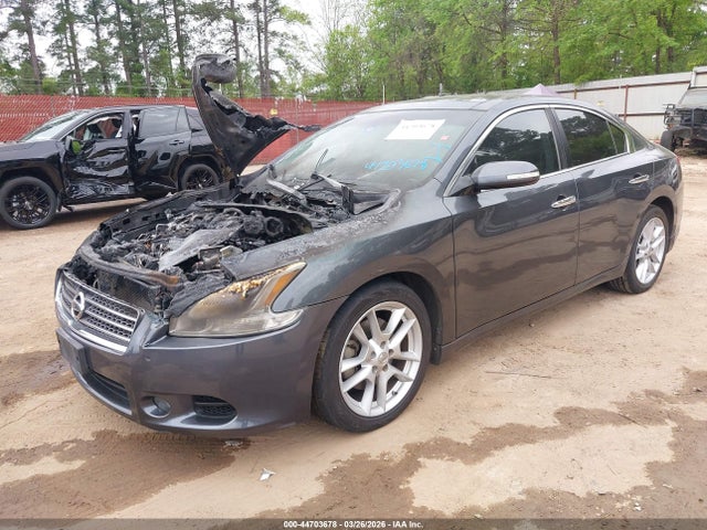 Продажа на аукционе авто 2009 Nissan Maxima 3.5 Sv, vin: 1N4AA51E69C829892, номер лота: 44703678