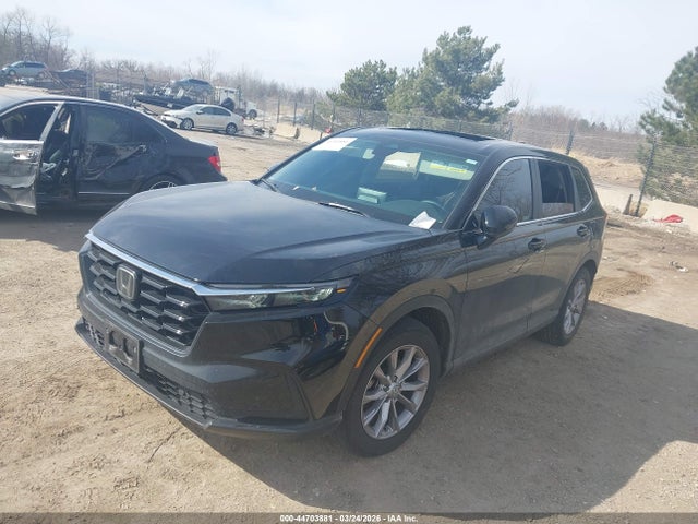 2024 HONDA CR-V 5J6RS4H78RL005852 Photo 1
