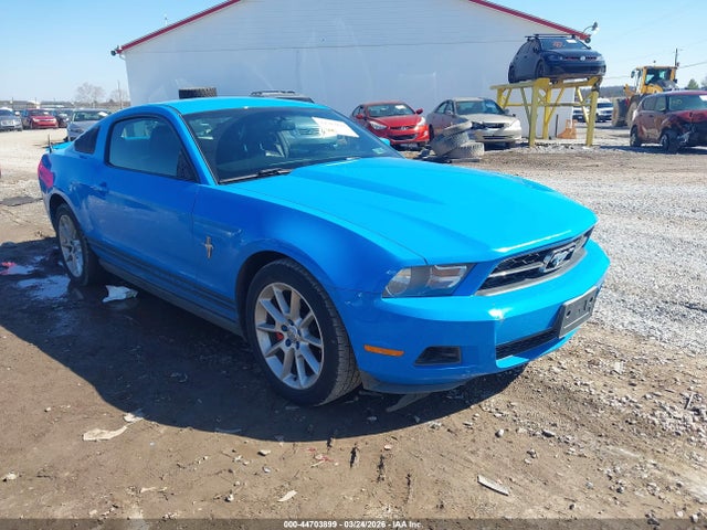 2010 FORD MUSTANG 1ZVBP8AN6A5165341