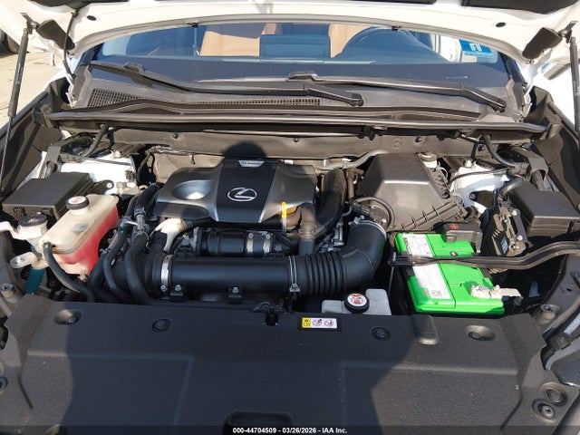 44704509 :رقم المزاد ، JTJDARDZXL5012835 vin ، 2020 Lexus Nx 300 مزاد بيع