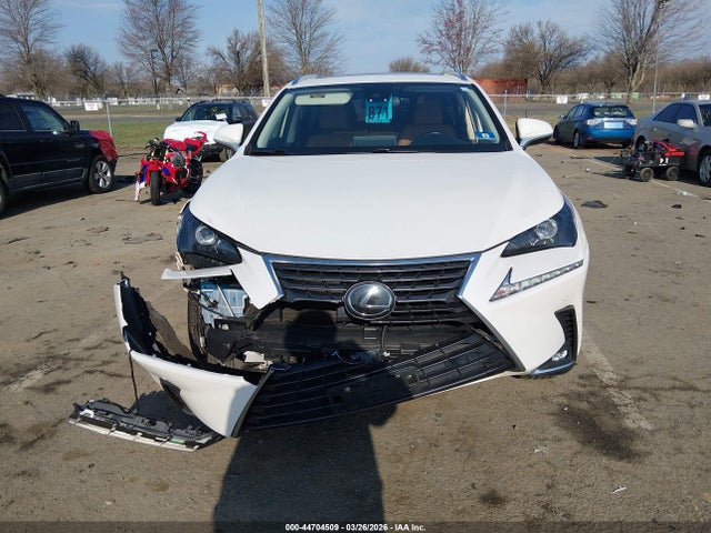 44704509 :رقم المزاد ، JTJDARDZXL5012835 vin ، 2020 Lexus Nx 300 مزاد بيع