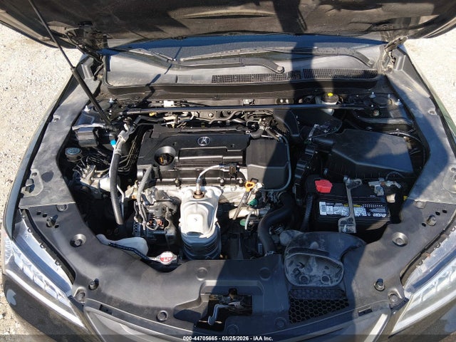 19UUB1F33GA010448 Acura TLX