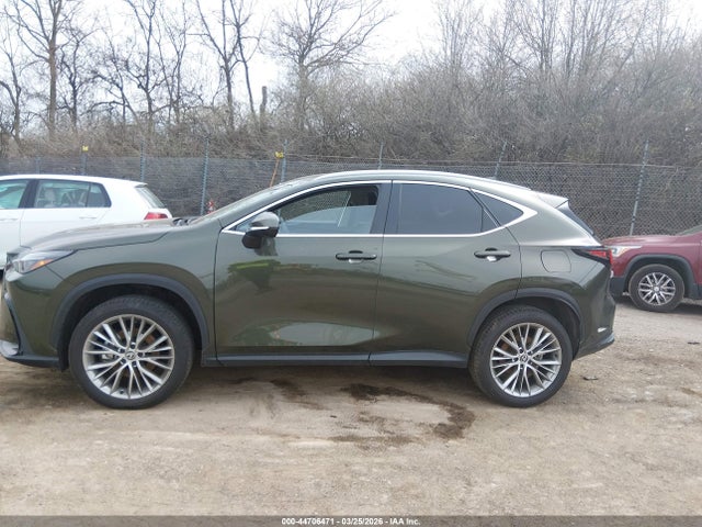Продажа на аукционе авто 2025 Lexus Nx 350 Premium, vin: 2T2GGCEZ7SC076290, номер лота: 44706471