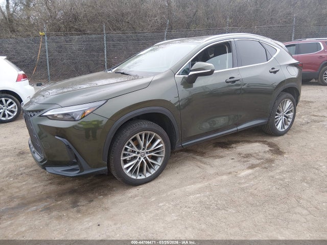 Продажа на аукционе авто 2025 Lexus Nx 350 Premium, vin: 2T2GGCEZ7SC076290, номер лота: 44706471