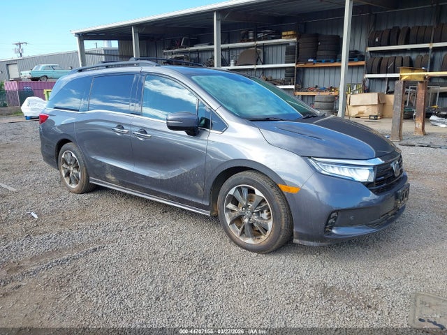 Auction sale of the 2023 Honda Odyssey Elite, vin: 5FNRL6H90PB032379, lot number: 44707155