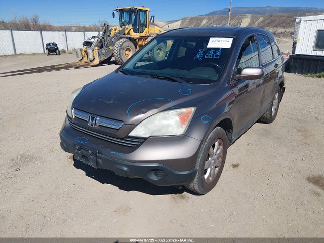 Aukcja sprzedaży 2009 Honda Cr-v Ex-l, vin: 5J6RE48739L015003, numer aukcji: 44707729