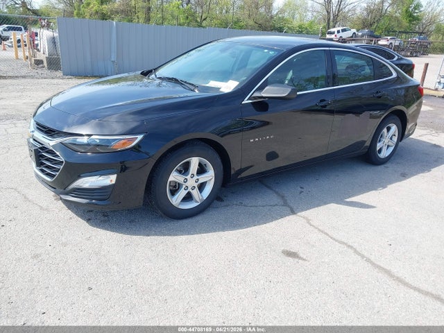 2019 CHEVROLET MALIBU 1G1ZC5ST2KF209283 Photo 1