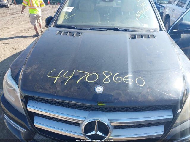 2013 MERCEDES-BENZ GL 450 4JGDF7CE9DA259341 Photo 9