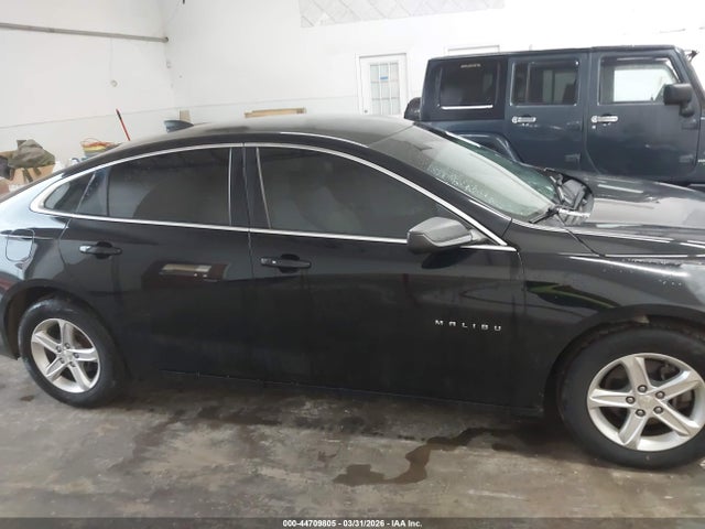 Chevrolet Malibu 1fl 2019 1G1ZC5ST9KF208776 Image 13