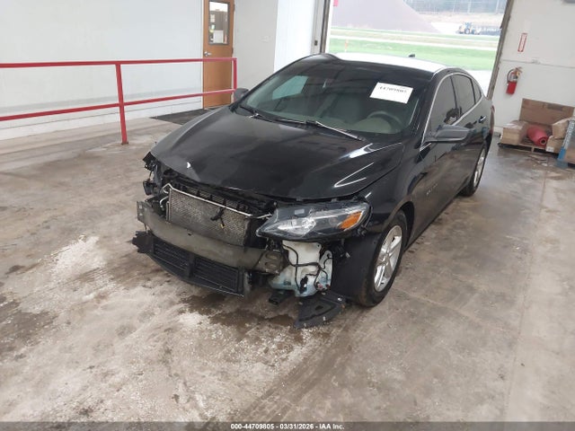 Chevrolet Malibu 1fl 2019 1G1ZC5ST9KF208776 Image 2