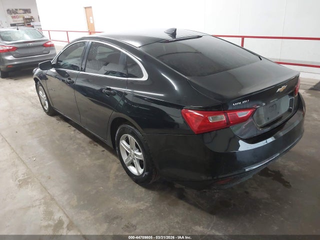 Chevrolet Malibu 1fl 2019 1G1ZC5ST9KF208776 Image 3