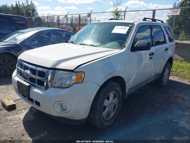 2009 FORD ESCAPE 1FMCU93G99KC49389 Photo 1