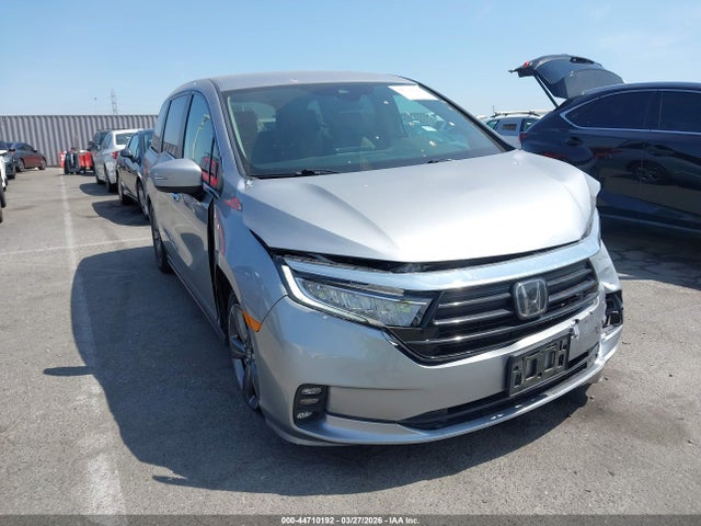 2021 HONDA ODYSSEY 5FNRL6H56MB034260