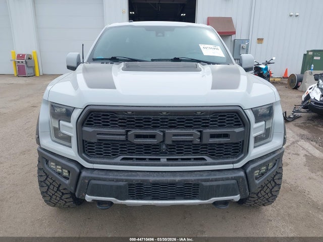 Aukcja sprzedaży 2017 Ford F-150 Raptor, vin: 1FTFW1RG4HFA26253, numer aukcji: 44710496