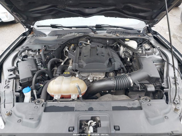 Ford Mustang Ecoboost Premium 2019 1FATP8UH7K5159147 Image 10