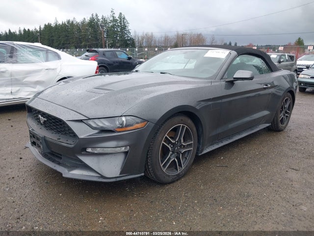 Ford Mustang Ecoboost Premium 2019 1FATP8UH7K5159147 Image 2