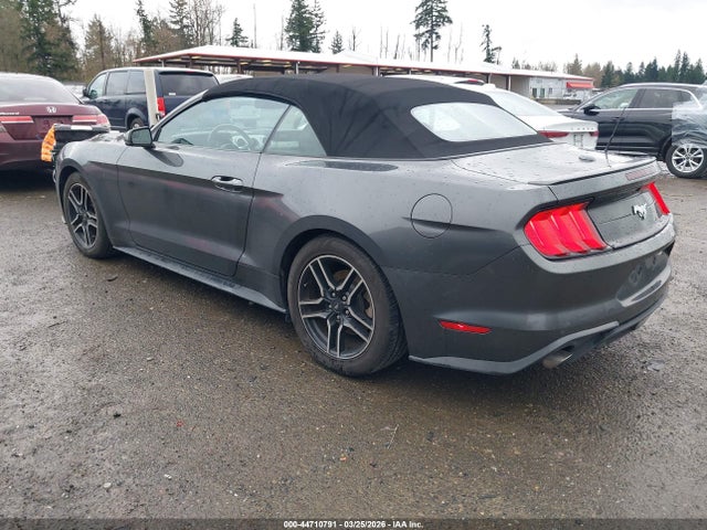 Ford Mustang Ecoboost Premium 2019 1FATP8UH7K5159147 Image 3