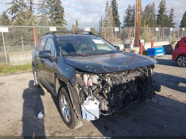 2T3RWRFV1KW022925 Toyota Rav4 Hybrid Xle