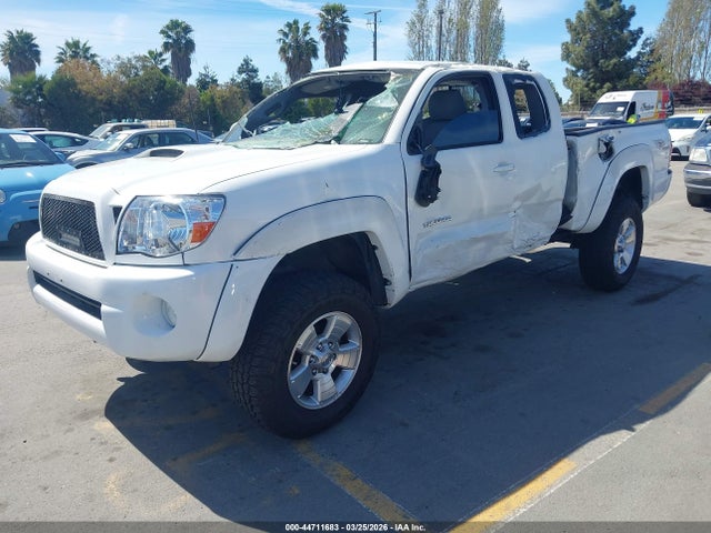 2008 TOYOTA TACOMA 5TETU62N88Z566366 Photo 1