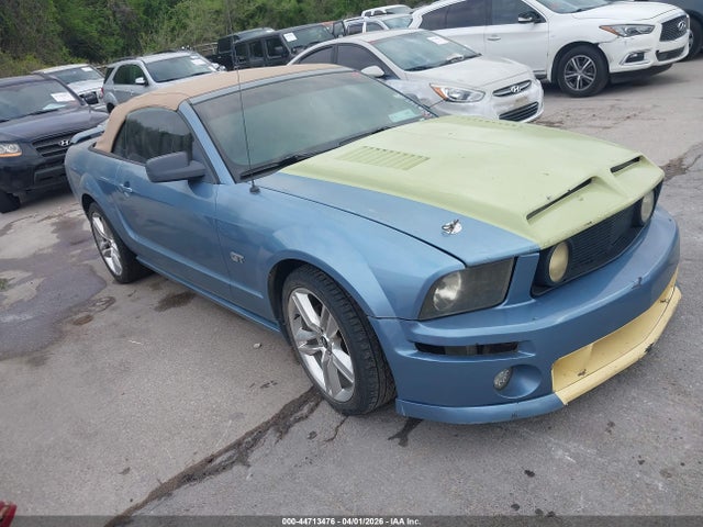 2006 FORD MUSTANG 1ZVFT85H365147310