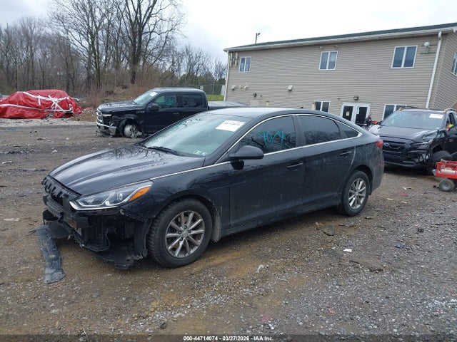 44714074 :رقم المزاد ، 5NPE24AF8KH781902 vin ، 2019 Hyundai Sonata Se مزاد بيع