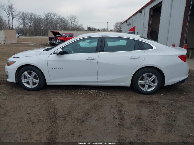 Продаж на аукціоні авто 2019 Chevrolet Malibu 1fl, vin: 1G1ZC5ST3KF169098, номер лоту: 44714203