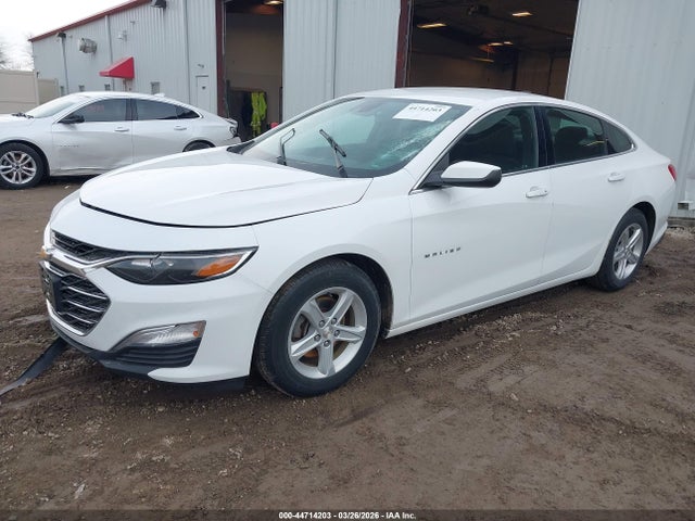 Продаж на аукціоні авто 2019 Chevrolet Malibu 1fl, vin: 1G1ZC5ST3KF169098, номер лоту: 44714203