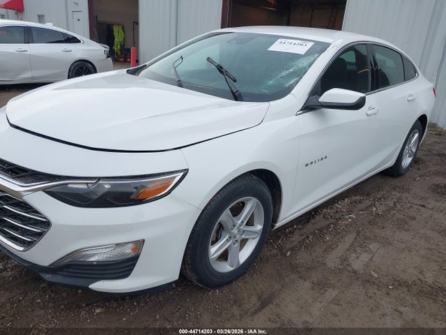 Продаж на аукціоні авто 2019 Chevrolet Malibu 1fl, vin: 1G1ZC5ST3KF169098, номер лоту: 44714203