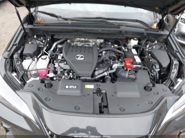 44716263 :رقم المزاد ، 2T2GGCEZ4SC073217 vin ، 2025 Lexus Nx 350 Premium مزاد بيع