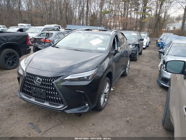 44716263 :رقم المزاد ، 2T2GGCEZ4SC073217 vin ، 2025 Lexus Nx 350 Premium مزاد بيع