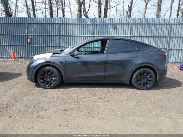 Auction sale of the 2025 Tesla Model Y Long Range Dual Motor All-wheel Drive, vin: 7SAYGDEE6SF308131, lot number: 44716835