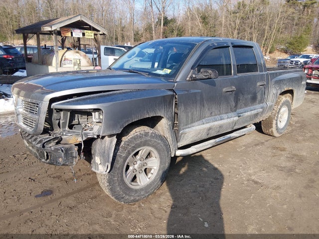 44718015 :رقم المزاد ، 1D7HW58N68S633591 vin ، 2008 Dodge Dakota Laramie مزاد بيع