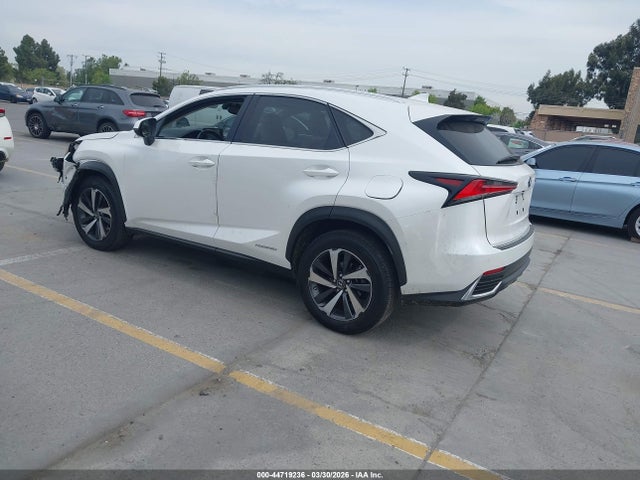 JTJGJRDZXM5011232 Lexus NX 300H