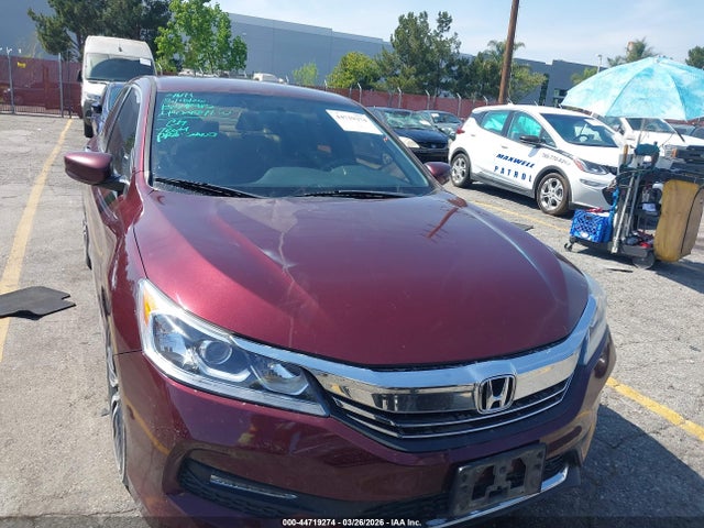 1HGCR2F51GA118517 Honda Accord Sport