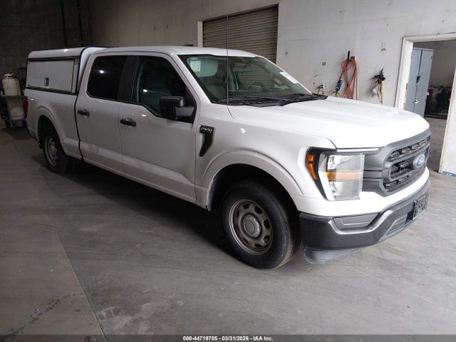 2023 FORD F-150 1FTEW1CP4PKD64049