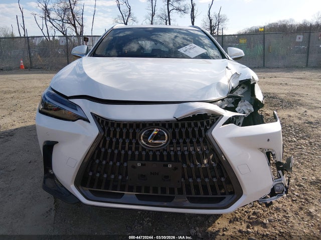 Продаж на аукціоні авто 2025 Lexus Nx 350h Premium, vin: JTJGKCEZ3S5024751, номер лоту: 44720244
