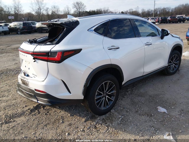 Продаж на аукціоні авто 2025 Lexus Nx 350h Premium, vin: JTJGKCEZ3S5024751, номер лоту: 44720244