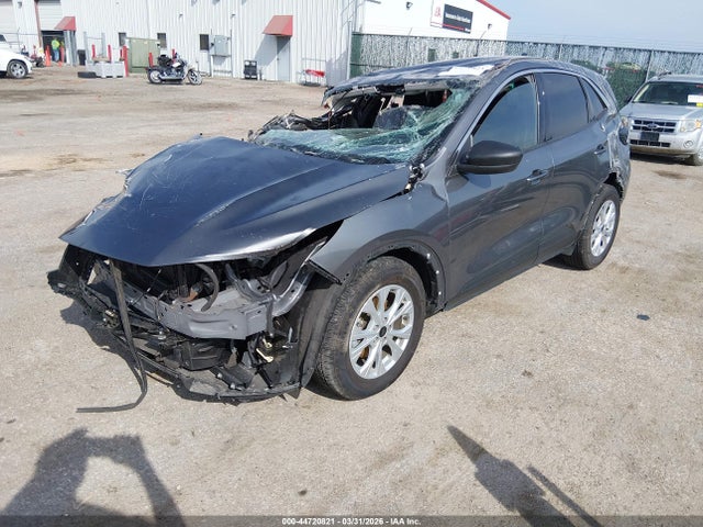 Ford Escape Active 2024 1FMCU0GN1RUA44805 Image 2