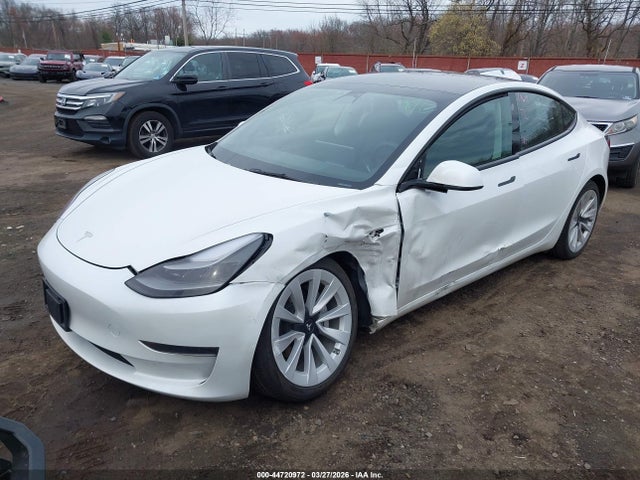 2023 TESLA MODEL 3 5YJ3E1EA1PF553189 Photo 1