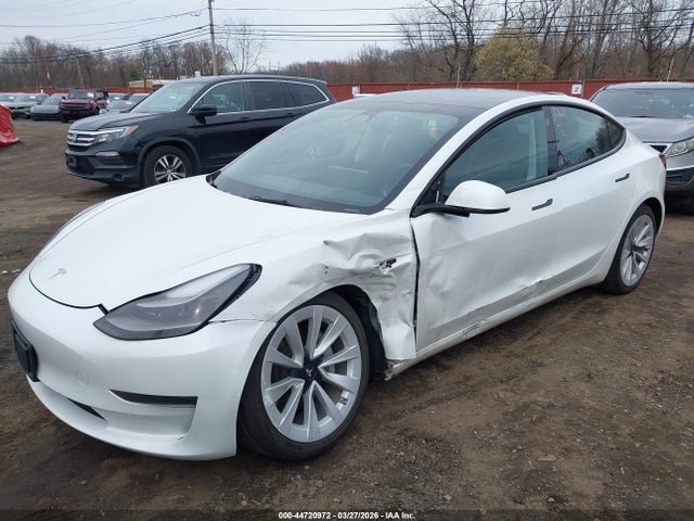 2023 TESLA MODEL 3 5YJ3E1EA1PF553189 Photo 5