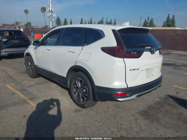 2HKRW1H87LH425583 Honda Cr-v 2wd Ex-l