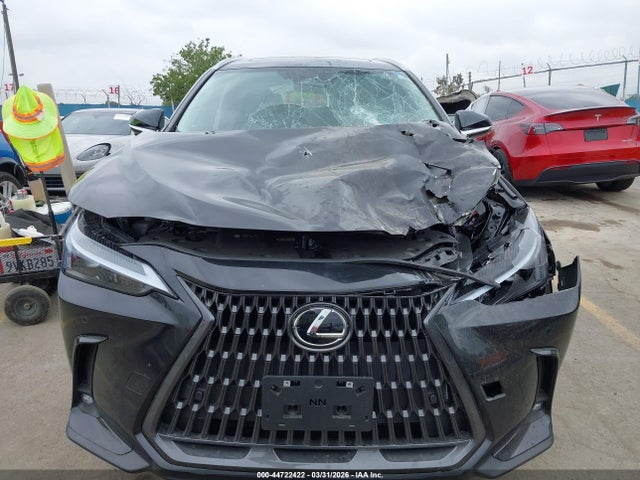 Lexus Nx 250 Premium 2025 2T2GDCAZ0SC032338 Image 12