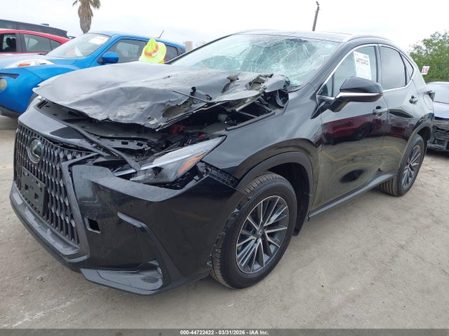 Lexus Nx 250 Premium 2025 2T2GDCAZ0SC032338 Image 2