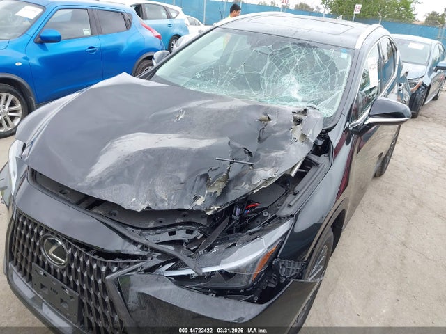 Lexus Nx 250 Premium 2025 2T2GDCAZ0SC032338 Image 6