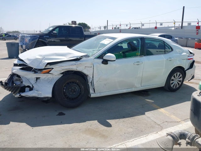 4T1B31HK1KU517035 Toyota Camry Hybrid Le